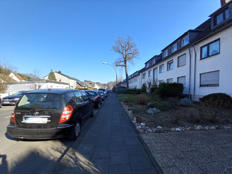Makler Koeln Grengel